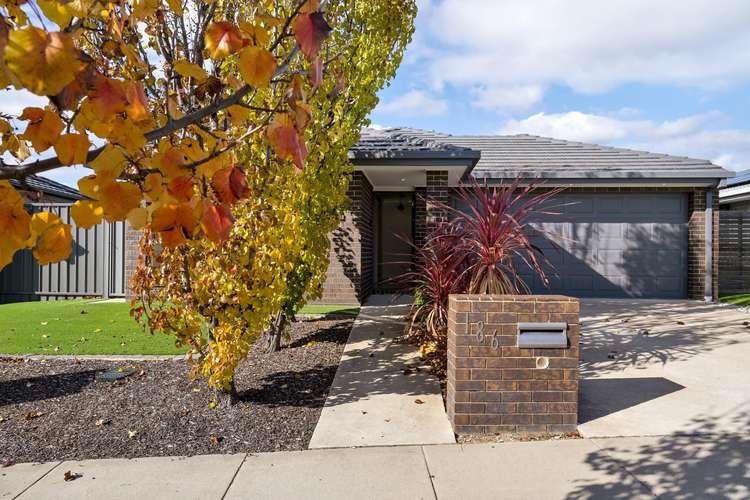 Main view of Homely house listing, 186 Jabanungga Avenue, Ngunnawal ACT 2913