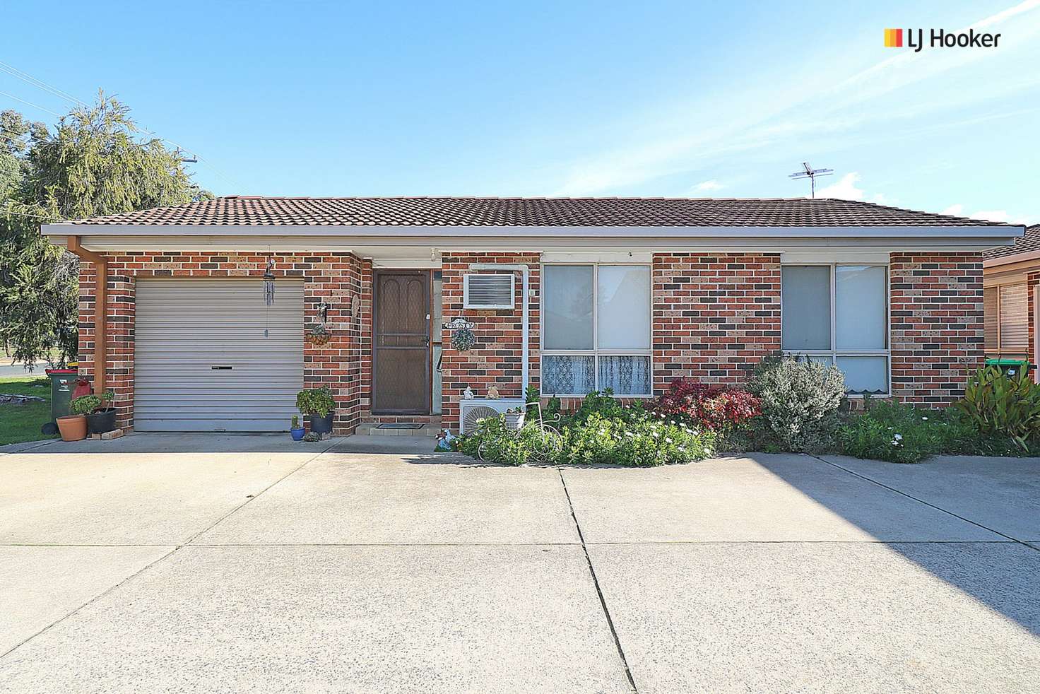 Main view of Homely house listing, Unit 1/19 Bulolo Street, Ashmont NSW 2650