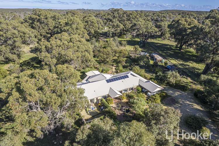 Main view of Homely house listing, 22 Citrus Court, Two Rocks WA 6037