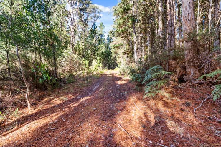 Fourth view of Homely residentialLand listing, 2337 Gordon River Road, National Park TAS 7140