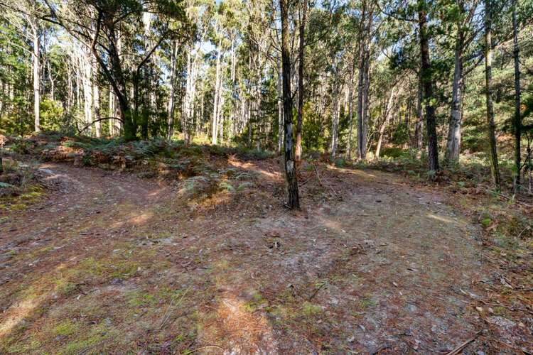 Seventh view of Homely residentialLand listing, 2337 Gordon River Road, National Park TAS 7140