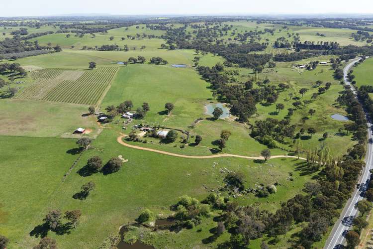 Main view of Homely ruralOther listing, 3637 Olympic Highway, Young NSW 2594