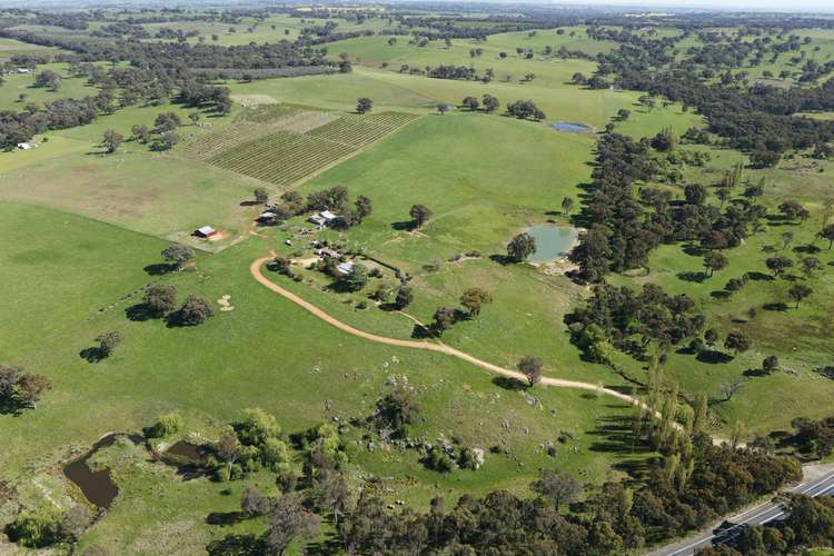 Second view of Homely ruralOther listing, 3637 Olympic Highway, Young NSW 2594