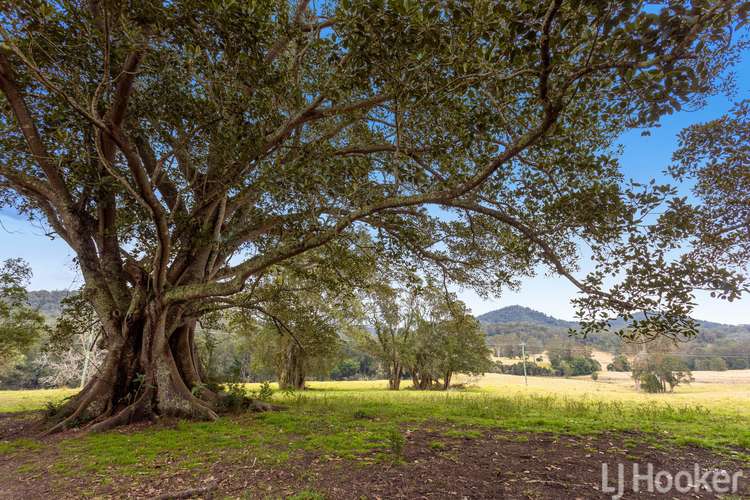 Fourth view of Homely ruralOther listing, 1199 Bulga Road, Marlee NSW 2429