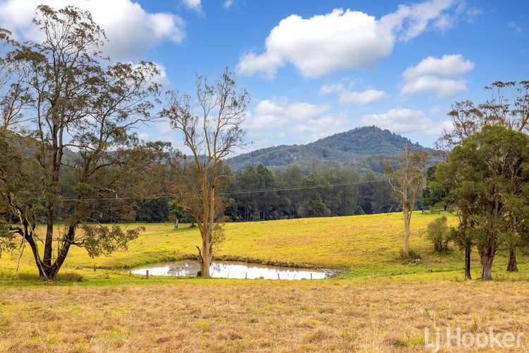 Seventh view of Homely ruralOther listing, 1199 Bulga Road, Marlee NSW 2429