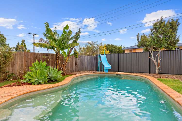Fourth view of Homely house listing, 53 Alpinia Street, Alexandra Hills QLD 4161