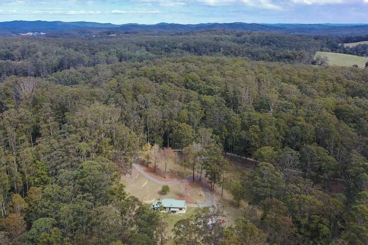 Main view of Homely ruralOther listing, 132 Mole Creek Road, Lowanna NSW 2450