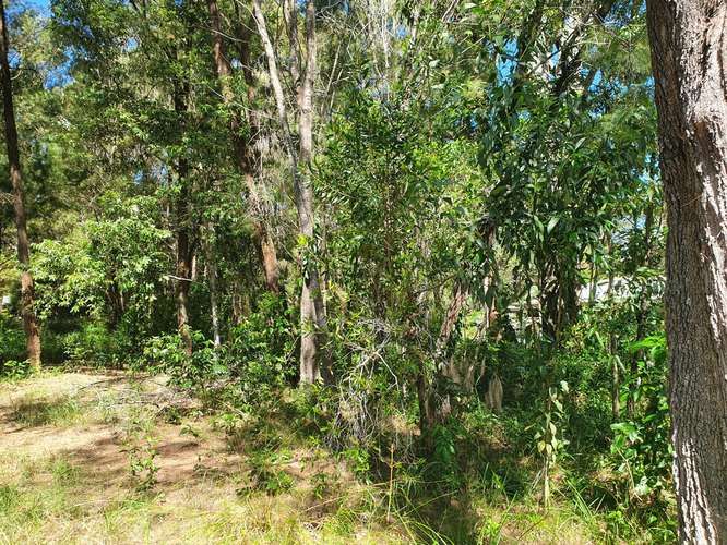 Second view of Homely residentialLand listing, 6 President Terrace, Macleay Island QLD 4184