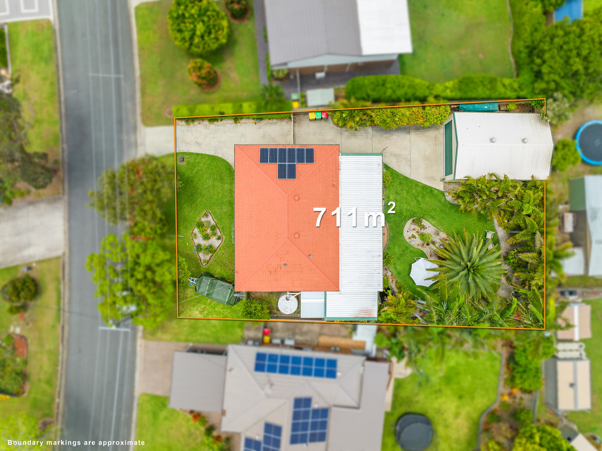 Main view of Homely house listing, 51 Amaryllis Street, Alexandra Hills QLD 4161