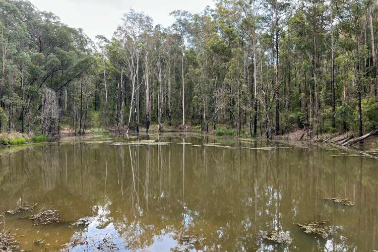 Main view of Homely ruralOther listing, 83b Hickeys Creek Road, Millbank NSW 2440