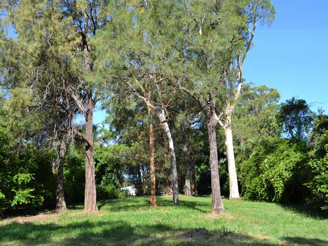 Fifth view of Homely residentialLand listing, 16 Coast Road, Macleay Island QLD 4184