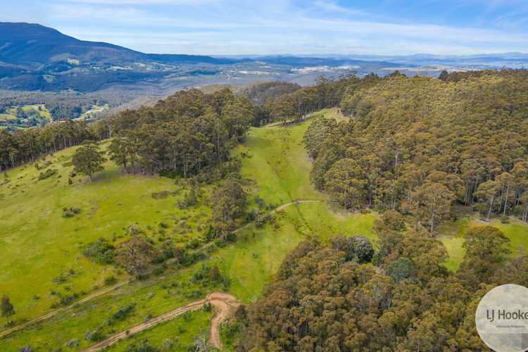 Main view of Homely residentialLand listing, 51 Pioneer Road, Kaoota TAS 7150