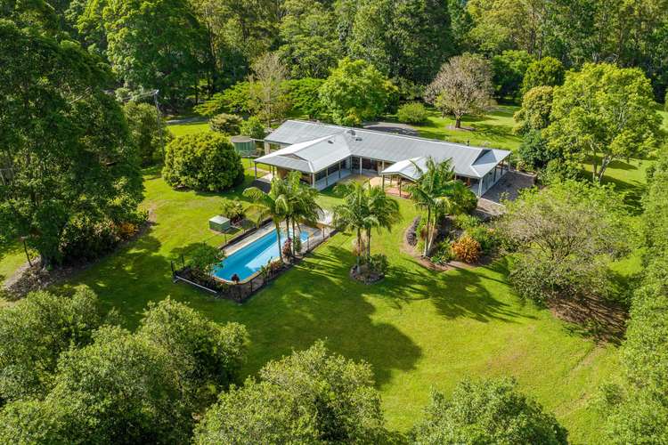 206 Repentance Creek Road, Rosebank NSW 2480