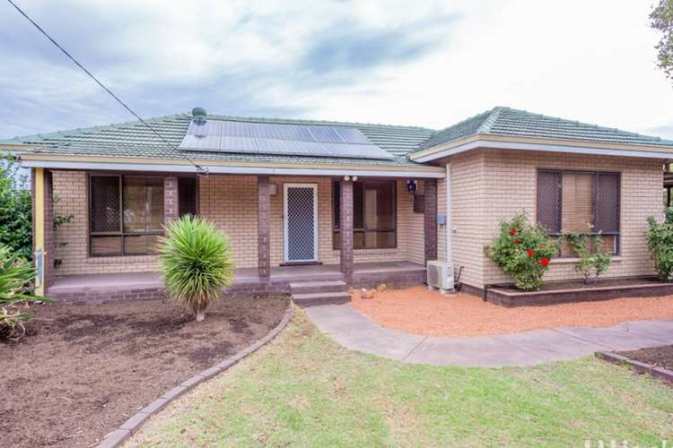 3 Elouera Street, Collie WA 6225