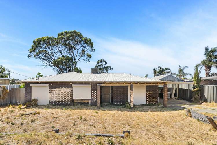 8 Moorhen Drive, Yangebup WA 6164