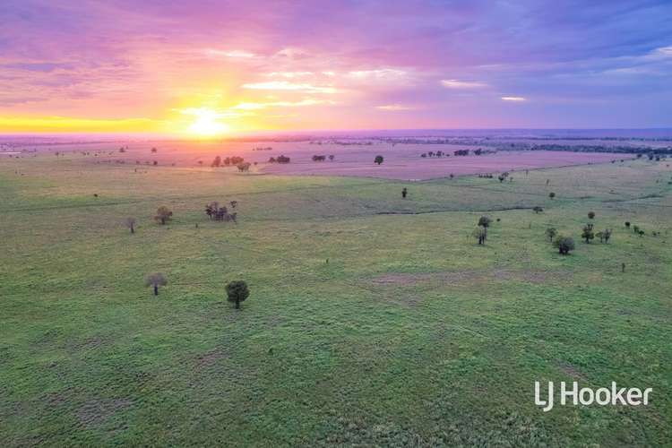 1408 "Bindango" - Bindango Road, Roma QLD 4455