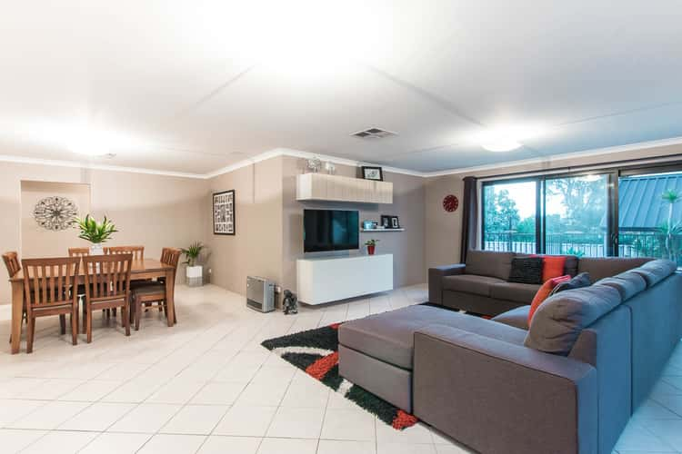 Seventh view of Homely house listing, 52 Senecio Lane, Beeliar WA 6164