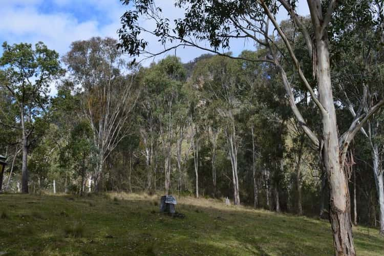 Sixth view of Homely lifestyle listing, Lot 165 Condamine River Road, Killarney QLD 4373