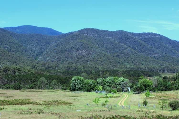 520 Yankees Gap Road, Bemboka NSW 2550