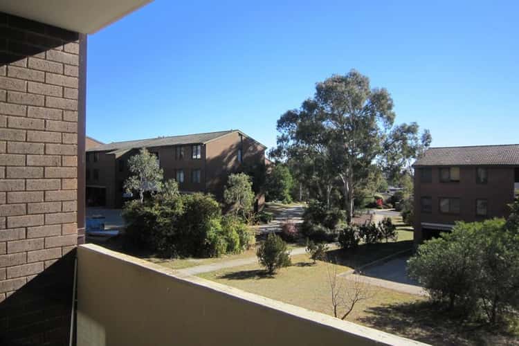 Main view of Homely apartment listing, 3/28 Springvale Drive, Hawker ACT 2614