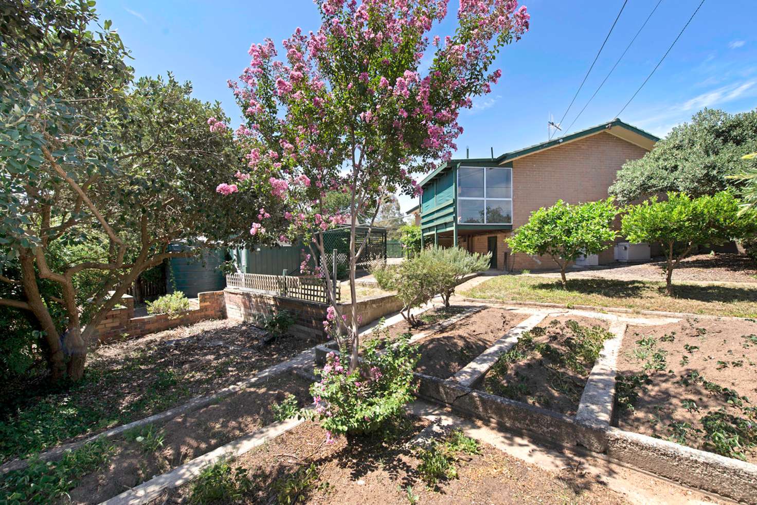 Main view of Homely house listing, 31 Holyman Street, Scullin ACT 2614