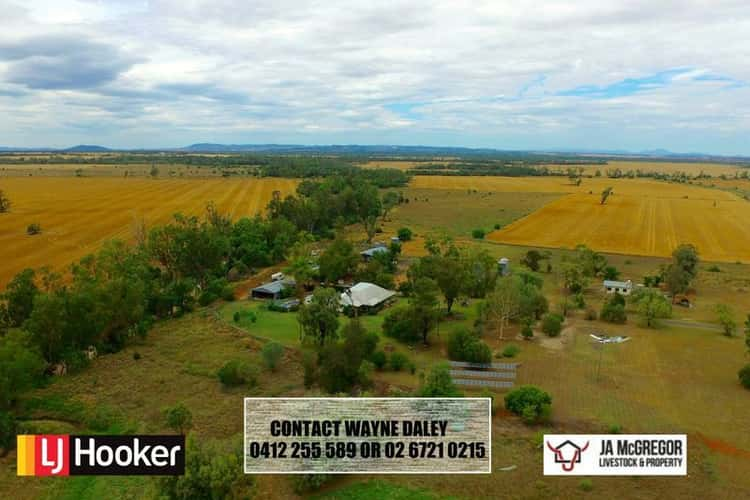 124 County Boundary Road, Pallamallawa NSW 2399