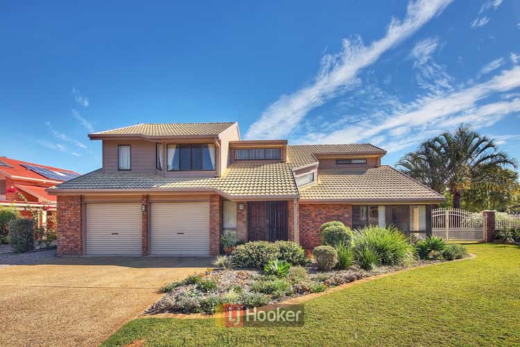 Main view of Homely house listing, 14 Thistlewood Court, Algester QLD 4115
