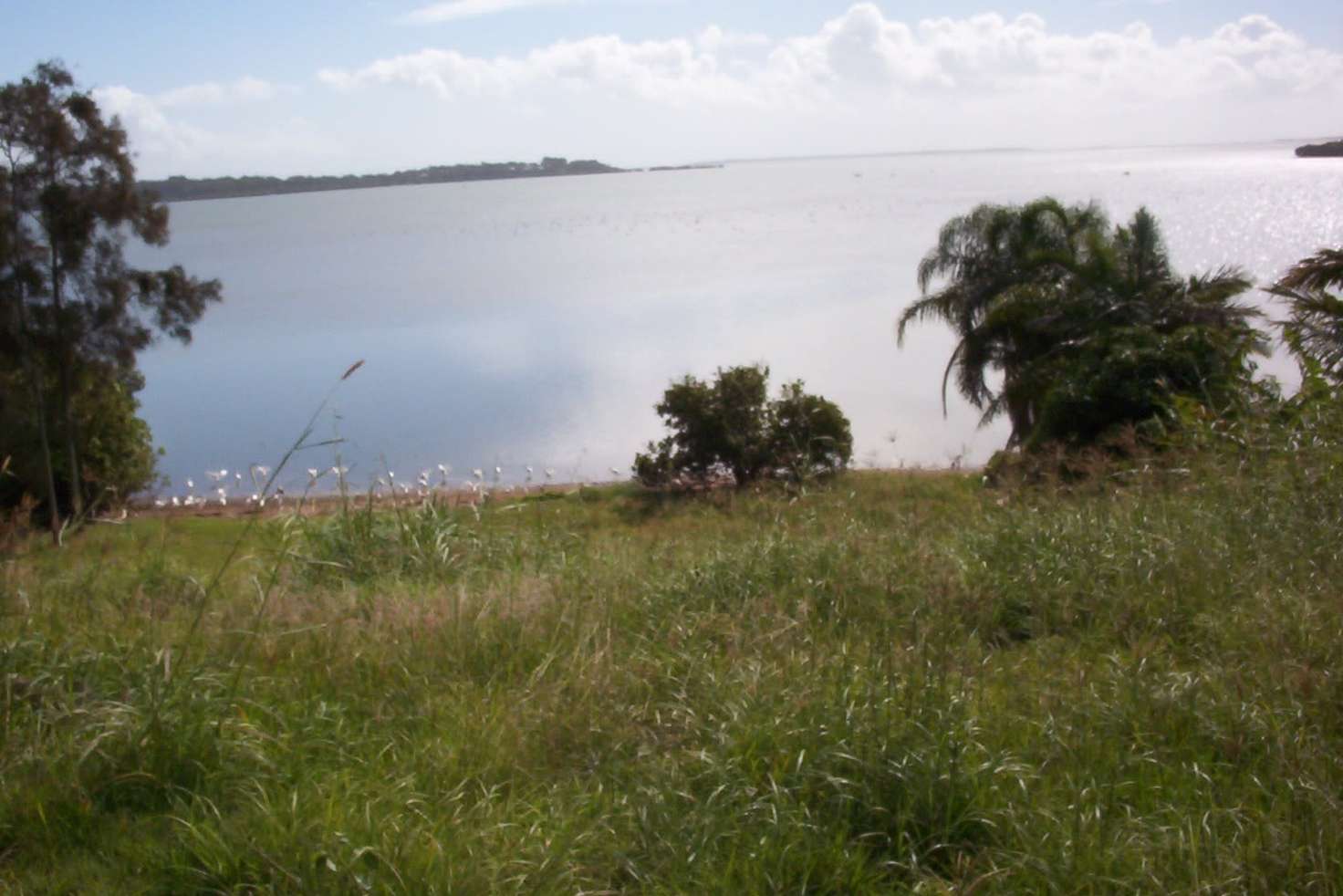 Main view of Homely residentialLand listing, 13 Byron Street, Russell Island QLD 4184