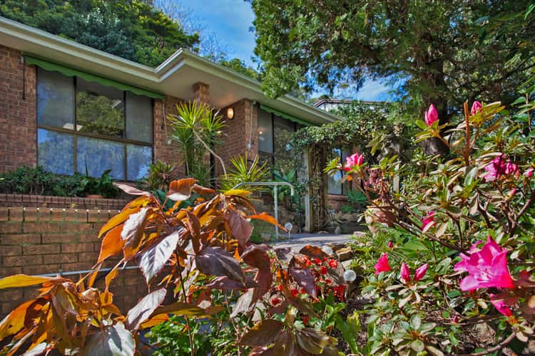 Main view of Homely house listing, 113 Whale Beach Road, Avalon Beach NSW 2107