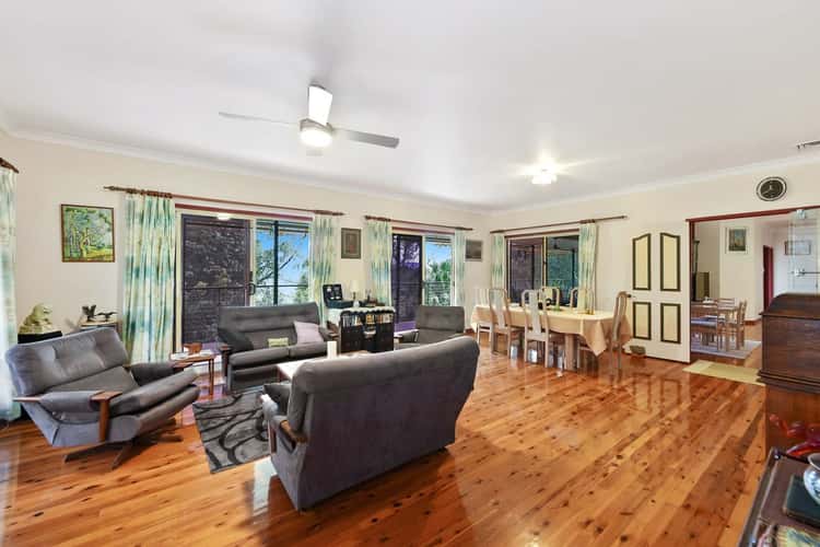 Main view of Homely house listing, 16 Misty Court, Yandina QLD 4561