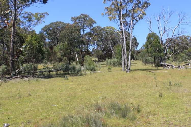 Lot 1 Catarrh Creek Road, Torrington NSW 2371