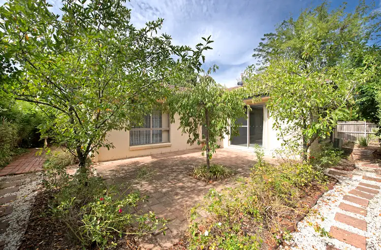 28 B Molesworth Street, Watson ACT 2602