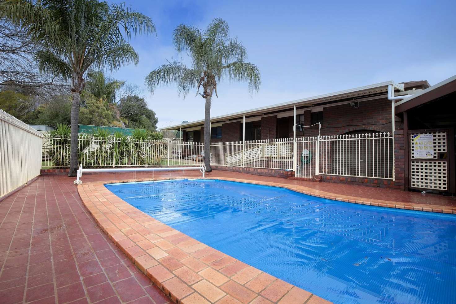 Main view of Homely house listing, 3 Patey Close, Ashmont NSW 2650