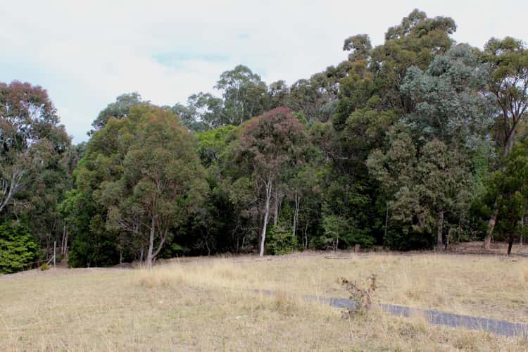 Main view of Homely residentialLand listing, 187 Black Range Road, Bega NSW 2550