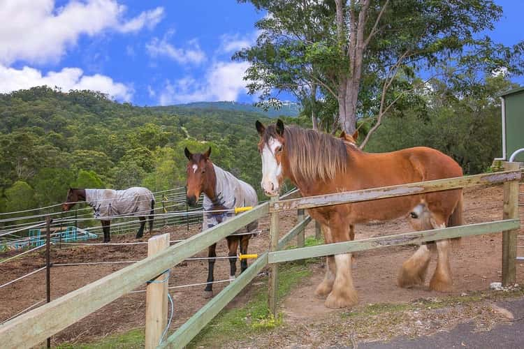 Fourth view of Homely house listing, 539 Bonogin Road, Bonogin QLD 4213