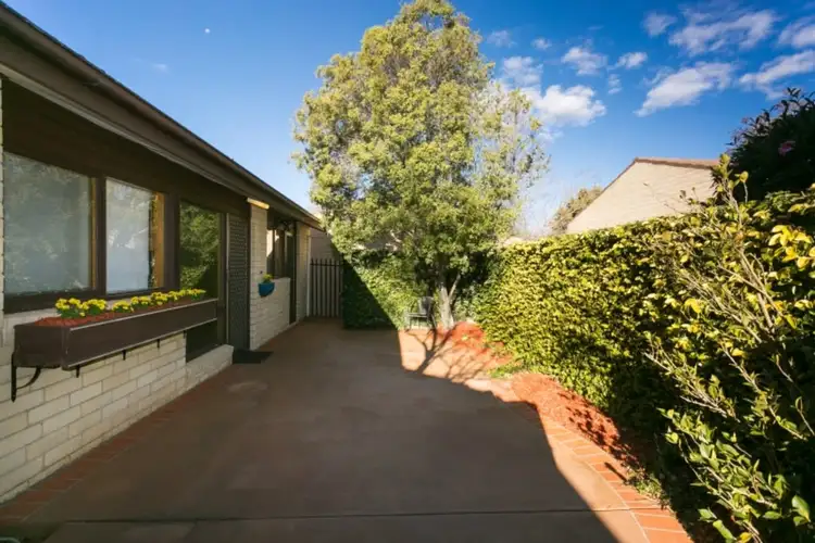 Second view of Homely townhouse listing, 3/4 Hodgson Place, Pearce ACT 2607