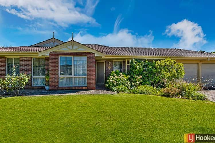 31 Olive Street, Magill SA 5072