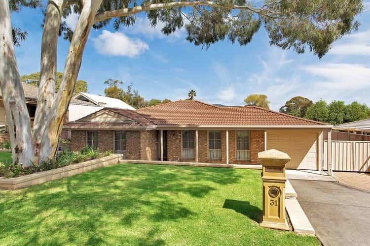 31 Mayfred Avenue, Hope Valley SA 5090