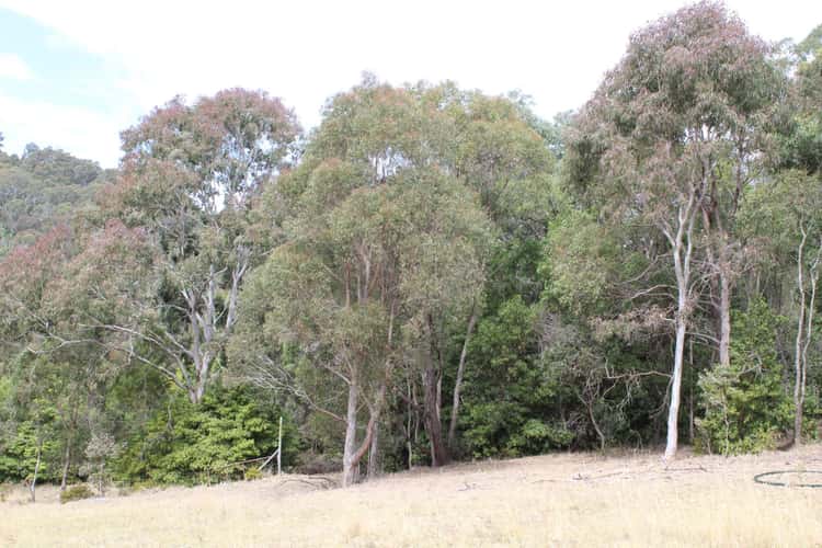 Third view of Homely residentialLand listing, 187 Black Range Road, Bega NSW 2550
