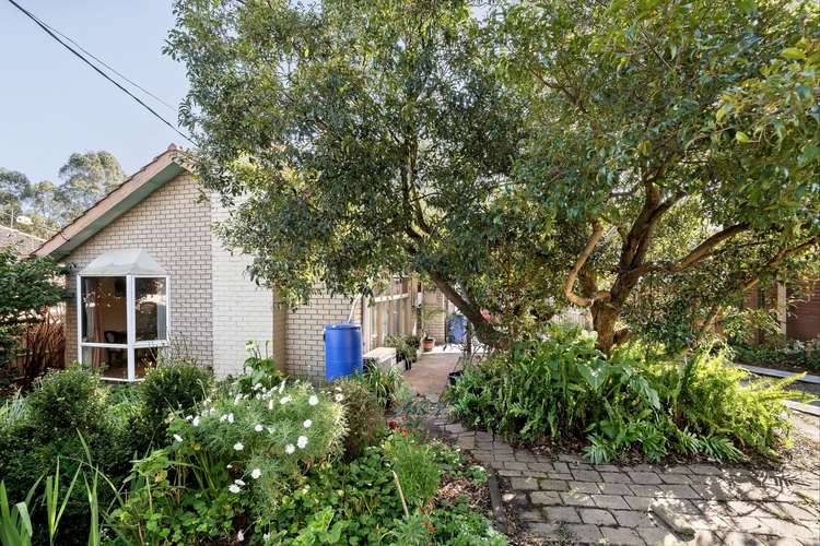 17 Therese Avenue, Mount Waverley VIC 3149