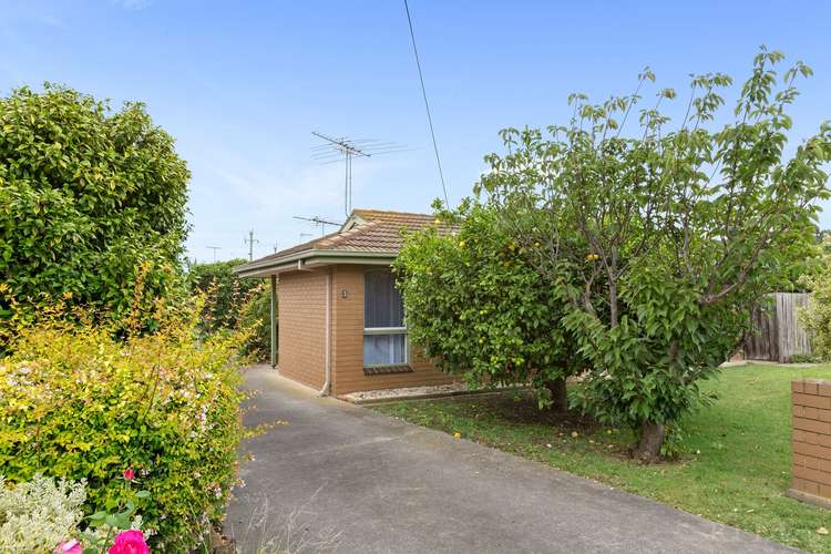 Main view of Homely unit listing, 1/3 Morpeth Street, Newcomb VIC 3219