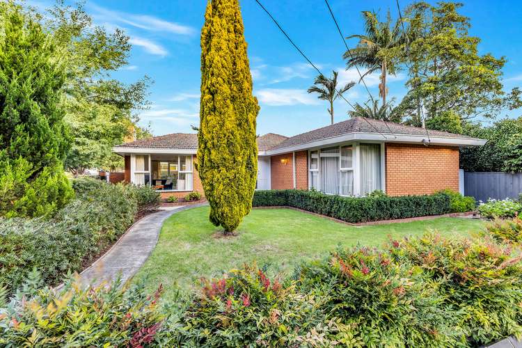 Main view of Homely house listing, 50 Cromer Road, Beaumaris VIC 3193