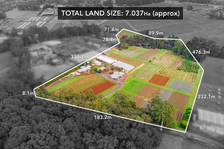 Main view of Homely acreageSemiRural listing, 140 Wandin Creek Road, Wandin East VIC 3139