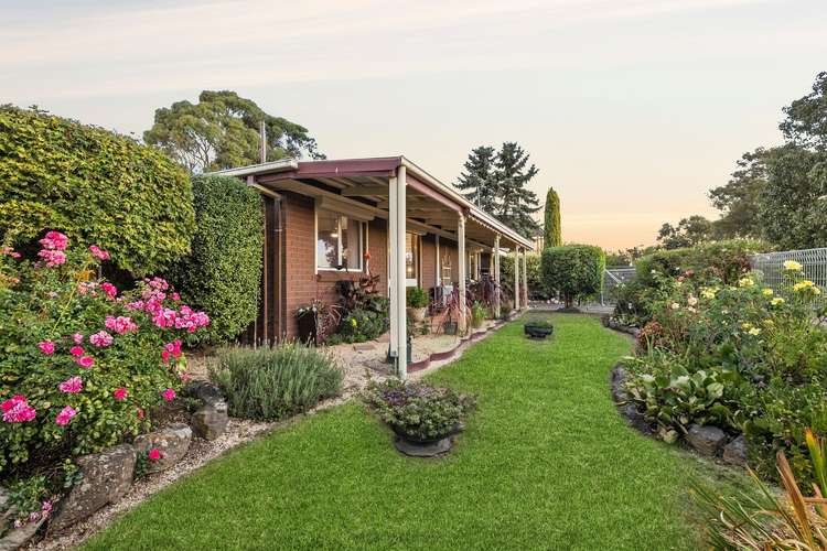 Main view of Homely house listing, 19 Madden Road, Cardigan Village VIC 3352