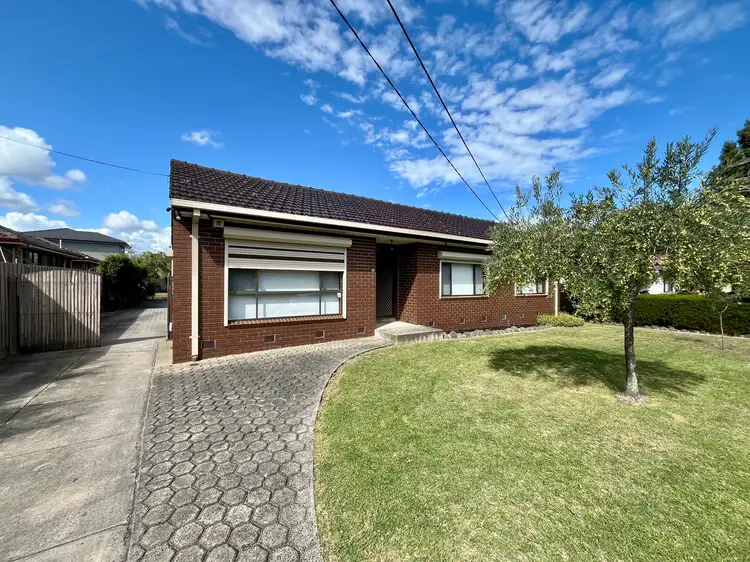 19 Main Road