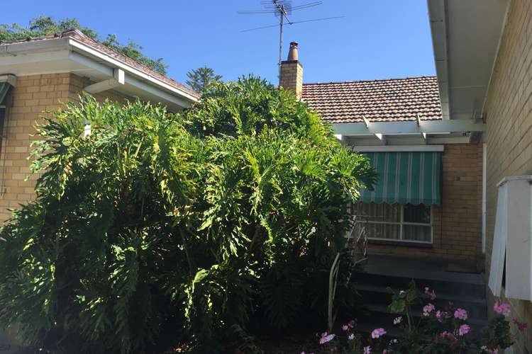 Second view of Homely house listing, Rooms/227 Elgar Road, Surrey Hills VIC 3127