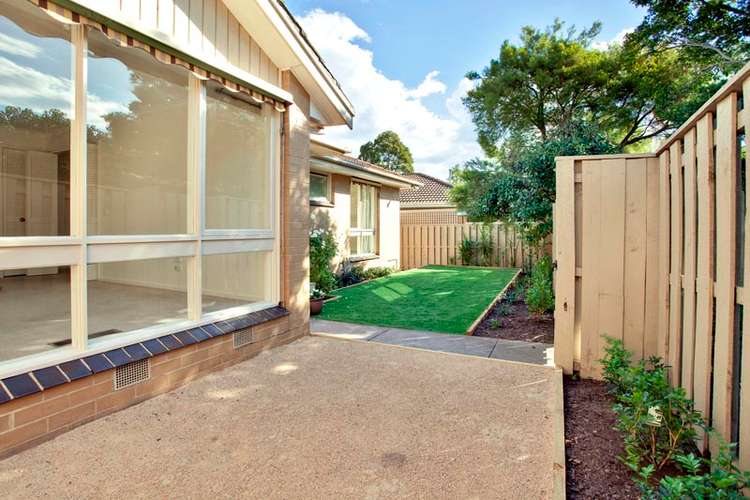 Main view of Homely unit listing, 3/63-65 Roslyn  Street, Brighton VIC 3186
