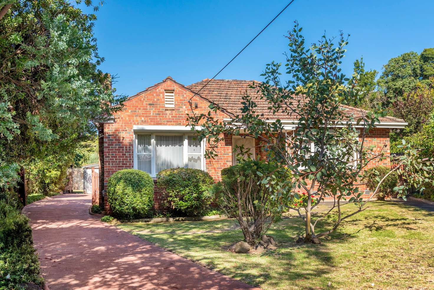 Main view of Homely house listing, 14 Patricia Street, Box Hill VIC 3128