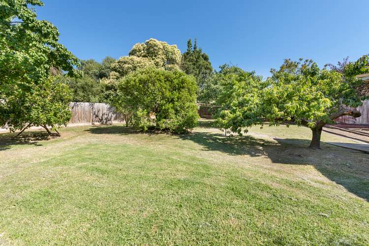 Second view of Homely house listing, 14 Patricia Street, Box Hill VIC 3128