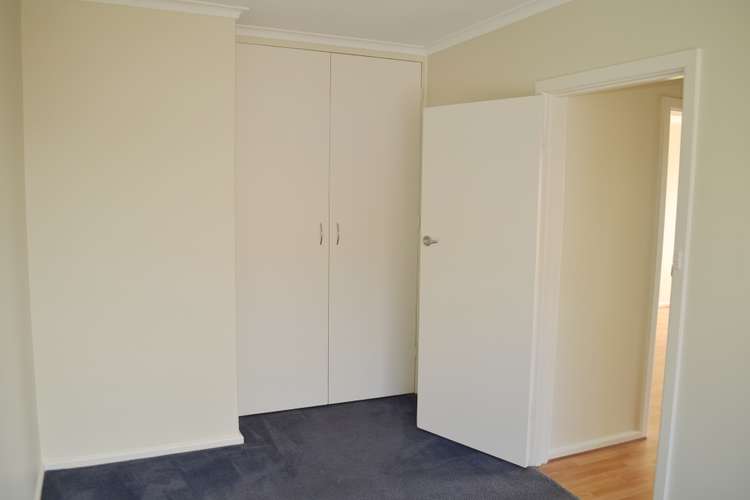 Fifth view of Homely apartment listing, 6/33 Madden Avenue, Carnegie VIC 3163